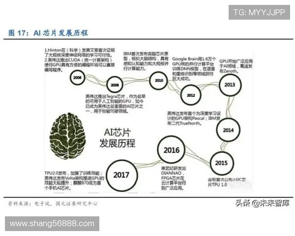 上海排球队的转型之路与未来发展趋势深度解析 上海排球队的转型之路与未来发展趋势深度解析