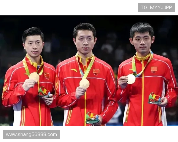 乒乓球意识排行榜揭晓上海乒乓球队荣登第五名引发热议