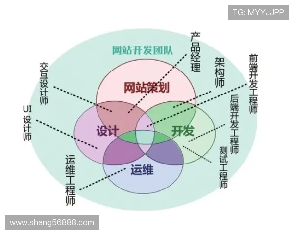 北京排球队意识表现分析大满贯点评揭示团队协作与战术执行的关键因素 北京排球队意识表现分析大满贯点评揭示团队协作与战术执行的关键因素