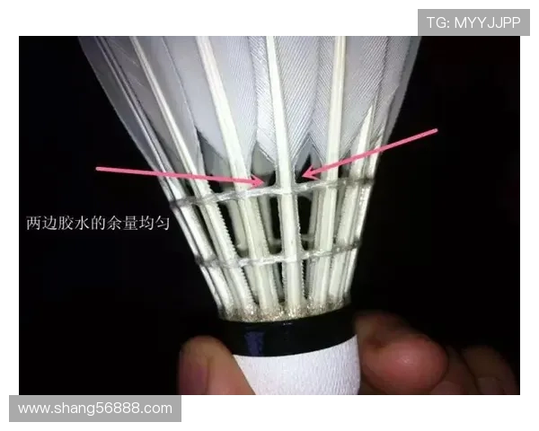 成都羽毛球队选拔赛点评:意识表现的优劣与提升空间分析 成都羽毛球队选拔赛点评:意识表现的优劣与提升空间分析