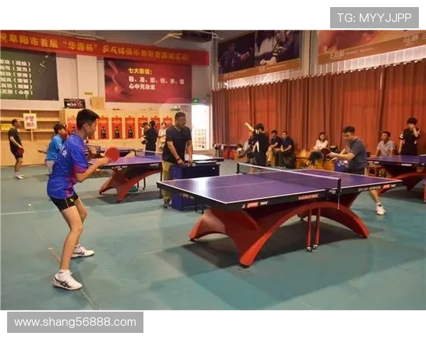西安乒乓球队运营模式解析与发展前景探讨 西安乒乓球队运营模式解析与发展前景探讨