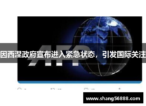因西涅政府宣布进入紧急状态，引发国际关注